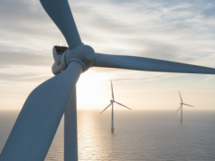 Trump próbował zatrzymać wiatraki na morzu. Sądy powiedziały „nie”