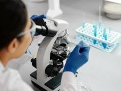 Badania ujawniają, jak bakterie oporne na antybiotyki opóźniają gojenie się przewlekłych ran