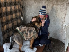 Zbiórka na przytulisko w Dźwierzutach. Dzięki apelom Iwony Arent jeden z psów znalazł dom!