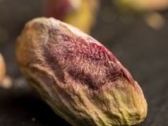 To jedne z najzdrowszych orzechów świata. Możesz je jeść nawet na diecie - jelita ci za to podziękują