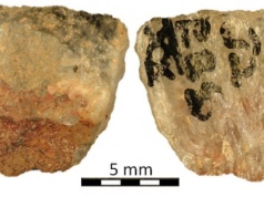 W RPA znaleziono najstarszą truciznę wykorzystywana do polowań