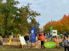 Zieleń zamiast betonu. Deweloper zmienia podejście do miejskich inwestycji