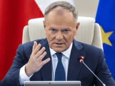 Tusk bez owijania w bawełnę. Tak odpowiada Nawrockiemu. Wszystko jasne