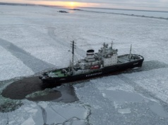 Donald Trump chce wygrać arktyczne starcie z Rosją. Prosi o pomoc światowego eksperta