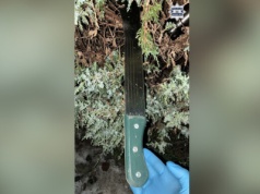 Śląskie. Grozili rówieśnikom maczetą i zwabili do lasu. Brutalny atak nastolatków