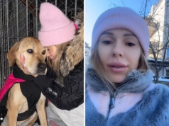 Doda ujawnia kolejne szczegóły swojej walki o schroniska. "Bezdomność zwierząt jest ogromnym biznesem"