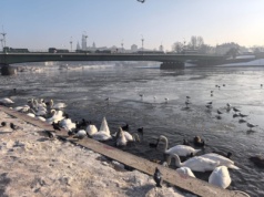 Zimowy poranek nad Wisłą pod Wawelem (Galeria)