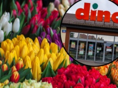 Tego Dino nie pokazuje klientom. Robią to z owocami i kwiatami przed sprzedażą