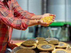 "Ceny skupu jak w 2009 roku, koszty +300 proc." Tak ministerstwo odpowiada rolnikom