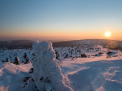 Kolejne miasta chcą zakazywać fajerwerków. Branża dalej walczy
