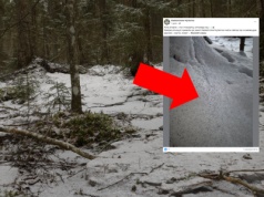 Czarne kropki na śniegu. Co to jest? Leśnicy wyjaśniają