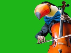 MCK Sokół: Muzyka z humorem wraca do Nowego Sącza. Przed nami XXI Festiwal FUN AND CLASSIC