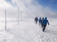 Wszyscy o zorzy, a tu nagłe ostrzeżenie. Wyjaśniamy, czym jest "biała ciemność"