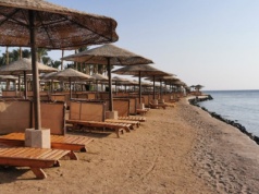 Rekin na plaży w Egipcie. I to w kurorcie all inclusive wybieranym przez Polaków