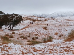 Na Saharze pojawił się śnieg. Niezwykłe zdjęcia obiegły internet