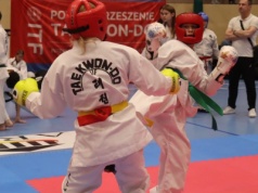 Niedźwiedzie podsumowują miniony rok