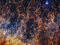 Tak umiera Słońce. Przerażające, ale nie można oderwać wzroku