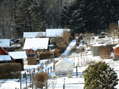 Dramat działkowców. Masowa likwidacja ROD coraz bliżej