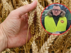 Wroński: rząd sprzedaje rolnikom bajki. Eksport zboża do Chin to fikcja