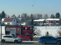 Strażacy interweniują, gdy zwierzętom dzieje się krzywda