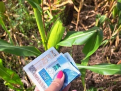 Zmiany w dopłatach dla rolników na 2026 rok. Jest nowa płatność od marca!