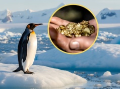 Złoża złota na Antarktydzie mogą kusić. Oto dlatego żaden kraj szybko ich nie pozyska