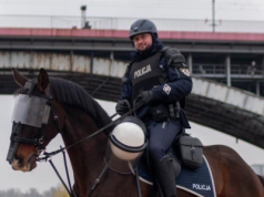 Elita polskiego jeździectwa i służby. Policjant z Częstochowy ze Złotą Odznaką PZJ