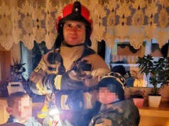 Kot uciekinier. Akcja służb (ZDJĘCIA)