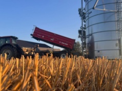 Spadek cen zbóż na światowych giełdach