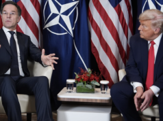 Mark Rutte: Status Grenlandii nie pojawił się podczas rozmów z Trumpem