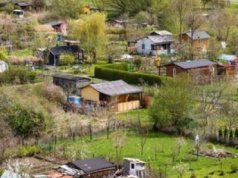 Chcą zlikwidować dwa ROD-y w Warszawie? "To jest granda"