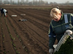 "Tragedia dla wielu rodzin". Umowa z Mercosur dotknie pracowników wielu branż