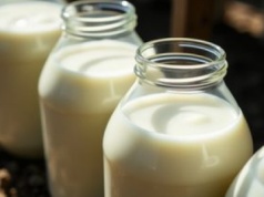 Seniorzy powinni pić takie mleko, a zwykle je omijają w sklepie. Wzmacnia kości i przynosi ulgę jelitom