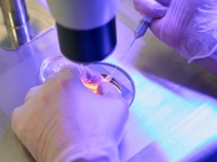 800 mln zł rocznie na in vitro? Tego oczekuje środowisko i pacjenci, ale MZ nie pozostawia złudzeń