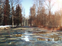 Wiosna przyjdzie szybciej. Nadchodzi wielkie uderzenie ciepła, synoptycy ostrzegają przed anomalią.