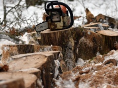 Rolnik ranny w wypadku z piłą łańcuchową. Poszkodowany w szpitalu