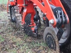 Uprawa bezpłużna buraka cukrowego – jak działa system bezorkowy i strip-till?