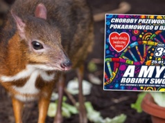 Uroczy myszojeleń przyszedł na świat w warszawskim ZOO. WOŚP przeprowadzi aukcję