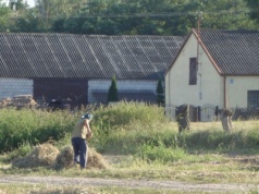 Co z dopłatami i ubezpieczeniem w KRUS? Burza wokół aktywnego rolnika w Sejmie