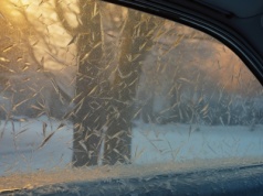 Zbliża się koniec mrozów? Prognoza pogody na następne 10 dni mówi sama za siebie