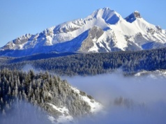 Nowa atrakcja w Tatrach. Ekskluzywne zwiedzanie bryczką konną