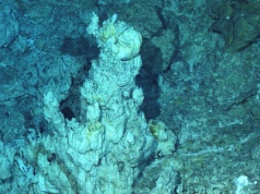 Podwodny wstrząs, a potem eksplozja życia na powierzchni, naukowcy trafili na brakujące ogniwo