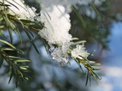 Opady marznące i ocieplenie nadchodzą do woj. lubelskiego. Idą zmiany w pogodzie i nawet 4°C