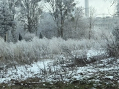 Szybka reakcja sąsiadów i służb. Groźny incydent w barakach przy ul. Kanałowej