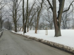 Śnieg, konie i sanie. Przy Parku Sanguszków zorganizują tradycyjny kulig