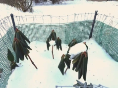 Zrób to rododendronowi jeszcze w styczniu. Wiosną wystrzeli kwiatami jak z procy