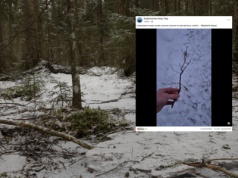 Leśnicy pokazali nagranie, nie kryją oburzenia. "Skandaliczny widok"