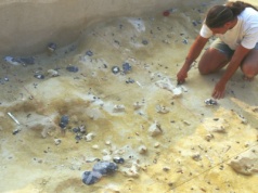 W Wielkiej Brytanii znaleziono jedno z najstarszych narzędzi z kości słonia. Służyło do retuszu