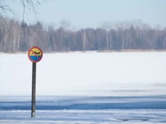 Bez zysków do końca 2026 roku. Mamy odpowiedź urzędu odnośnie Sosiny