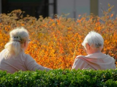 Zaskakujące korzyści Karty Seniora. Często osoby starsze o nich nie wiedzą